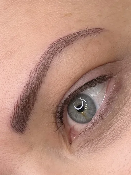 Eyebrow tattoo result — NeoTempo Aesthetics