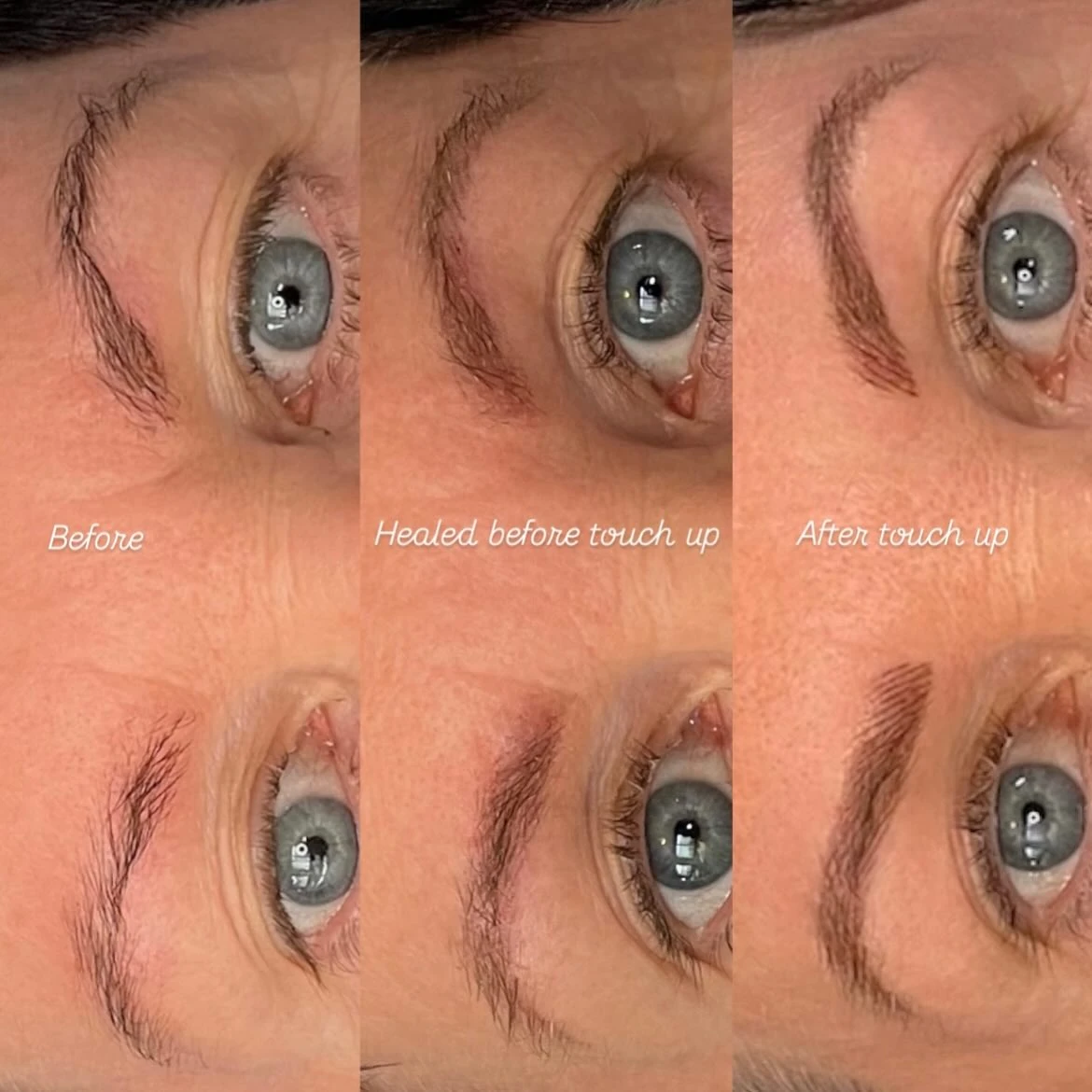 Natural eyebrow tattoo — powder brow results
